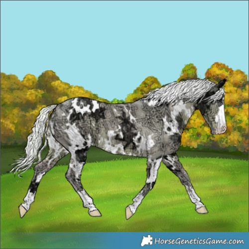Horse Color:Watercolor White Spotted Chocolate Silver Smoky Creme Chinchilla Ice 