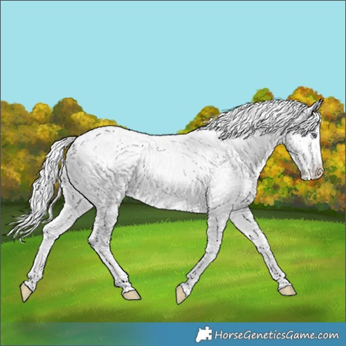 Horse Color:White Spotted Chocolate Silver Smoky Creme Chinchilla Ice 