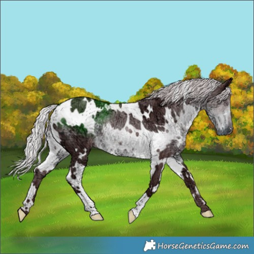 Horse Color:White Spotted Chocolate Silver Smoky Black Chinchilla Ice 