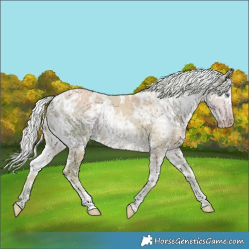 Horse Color:Watercolor White Spotted Chocolate Silver Smoky Creme Chinchilla Ice 
