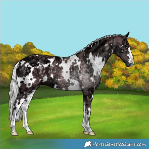 Horse Color:White Spotted Chocolate Silver Smoky Black Chinchilla Ice 