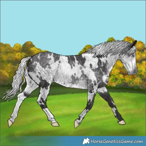 Horse Color:White Spotted Silver Smoky Black Chinchilla 