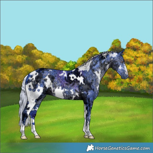 Horse Color:Watercolor White Spotted Silver Black Chinchilla Ice 