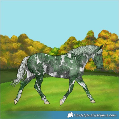 Horse Color:Watercolor White Spotted Silver Black Chinchilla Ice 