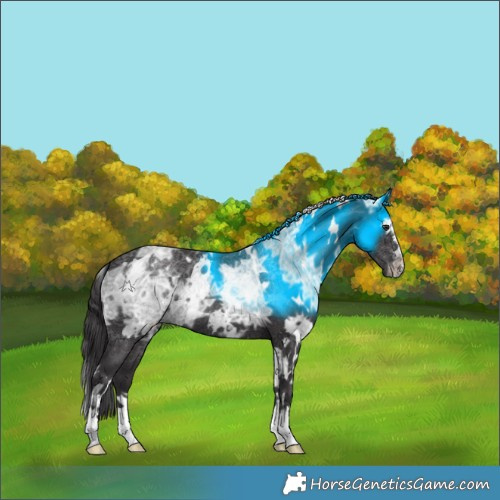 Horse Color:White Spotted Smoky Black Chinchilla Ice 