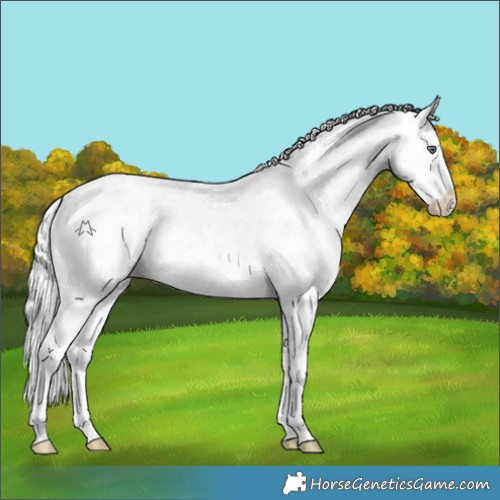 Horse Color:White Spotted Chocolate Silver Smoky Creme Chinchilla Ice
