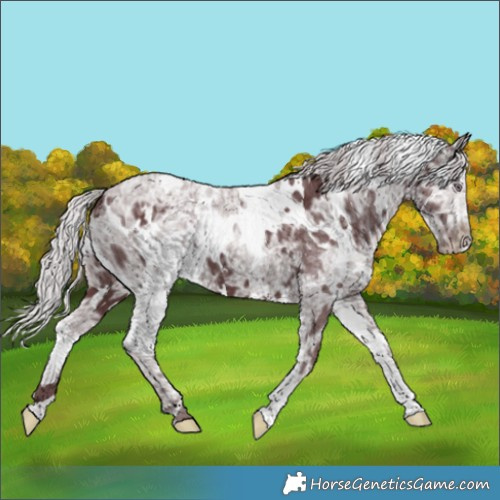 Horse Color:White Spotted Chocolate Silver Smoky Black Chinchilla Ice 