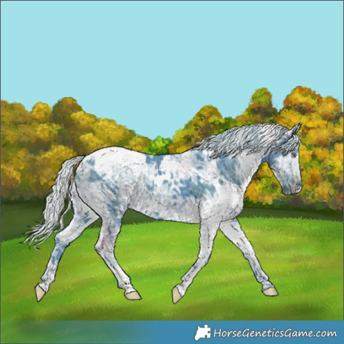 Horse Color:Watercolor White Spotted Chocolate Silver Smoky Black Chinchilla Ice 