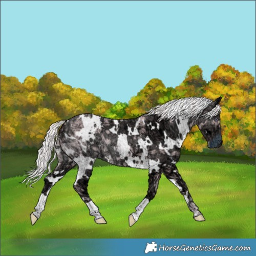 Horse Color:Watercolor White Spotted Chocolate Silver Smoky Creme Chinchilla Ice 