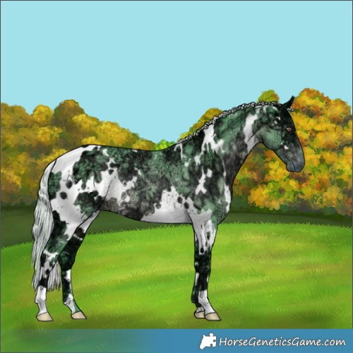 Horse Color:Watercolor White Spotted Chocolate Silver Black Chinchilla Ice