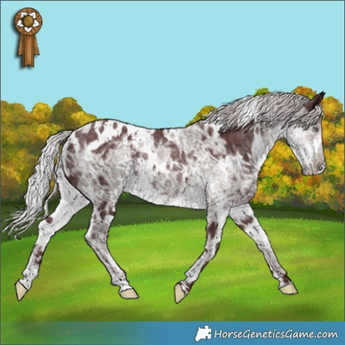 Horse Color:White Spotted Chocolate Silver Smoky Black Chinchilla Ice 