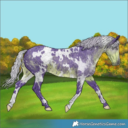 Horse Color:Watercolor White Spotted Chocolate Silver Smoky Black Chinchilla 