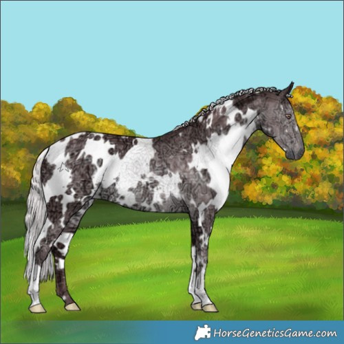 Horse Color:White Spotted Chocolate Silver Black Chinchilla Ice 