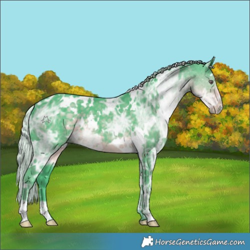 Horse Color:Watercolor White Spotted Chocolate Silver Smoky Black Chinchilla Ice 