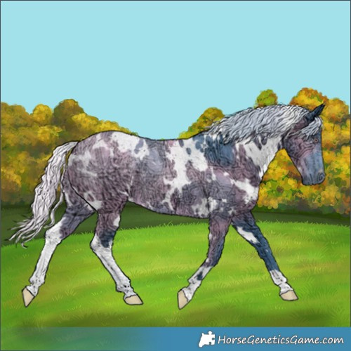 Horse Color:Watercolor White Spotted Chocolate Silver Black Chinchilla Ice 