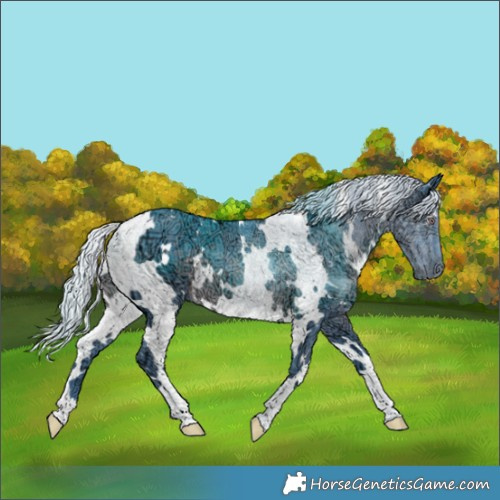 Horse Color:Watercolor White Spotted Chocolate Silver Black Chinchilla Ice 