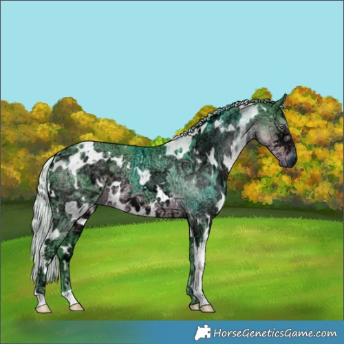 Horse Color:Watercolor White Spotted Chocolate Silver Smoky Black Chinchilla Ice 