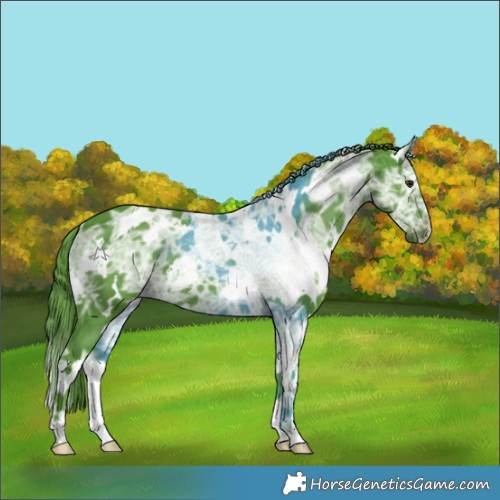 Horse Color:Watercolor White Spotted Chocolate Black Chinchilla Ice 
