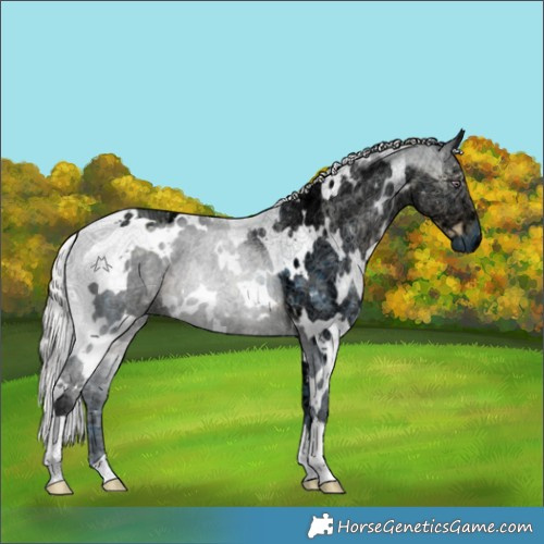 Horse Color:Watercolor White Spotted Chocolate Silver Smoky Black Chinchilla Ice 