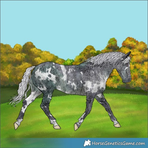 Horse Color:Watercolor White Spotted Chocolate Silver Smoky Black Chinchilla Ice 