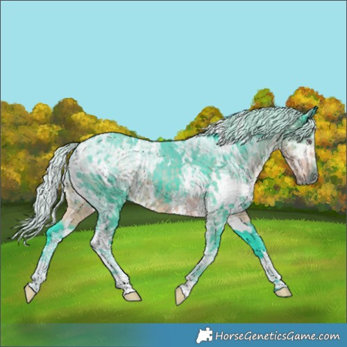 Horse Color:Watercolor White Spotted Chocolate Silver Smoky Black Chinchilla Ice 