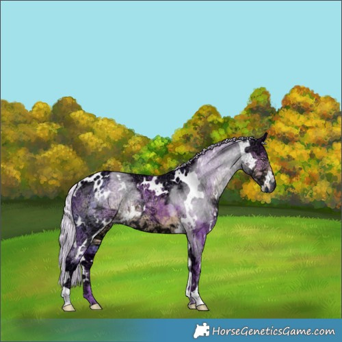 Horse Color:Watercolor White Spotted Chocolate Silver Smoky Black Chinchilla Ice