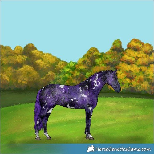 Horse Color:Watercolor White Spotted Black Chinchilla Ice