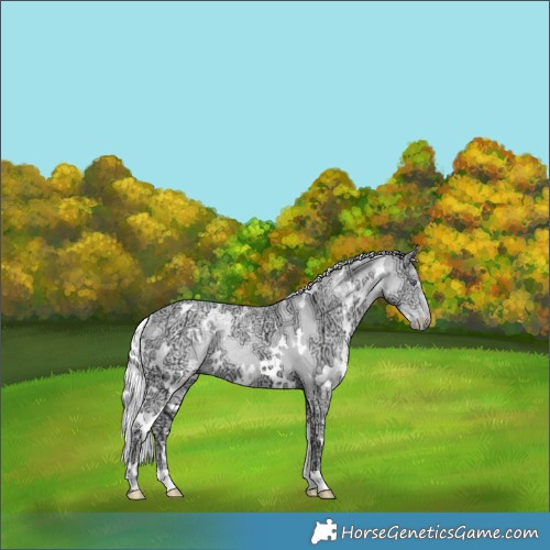 Horse Color:White Spotted Chocolate Silver Smoky Creme Chinchilla Ice