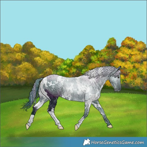 Horse Color:Watercolor White Spotted Black Chinchilla Ice 