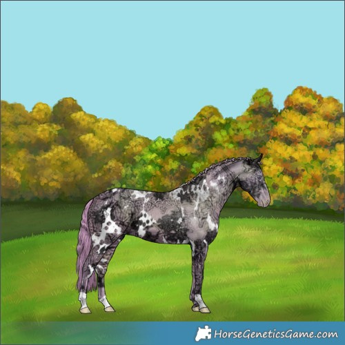 Horse Color:Watercolor White Spotted Chocolate Smoky Creme Chinchilla Ice 
