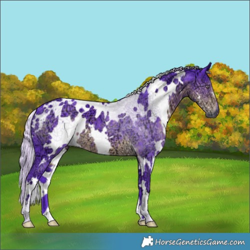 Horse Color:Watercolor White Spotted Chocolate Silver Smoky Black Chinchilla Ice 