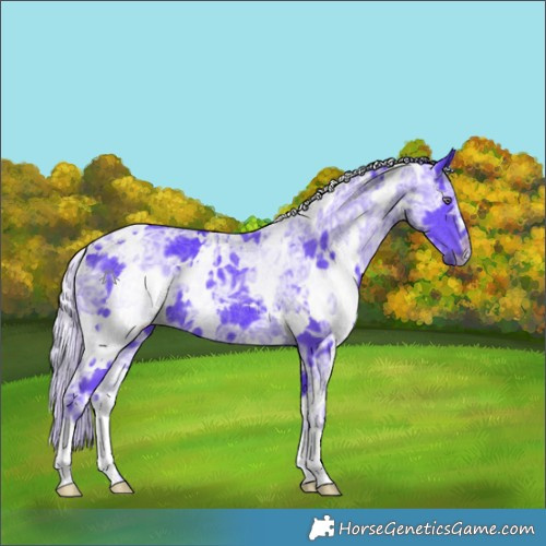 Horse Color:Watercolor White Spotted Chocolate Silver Smoky Black Chinchilla Ice 