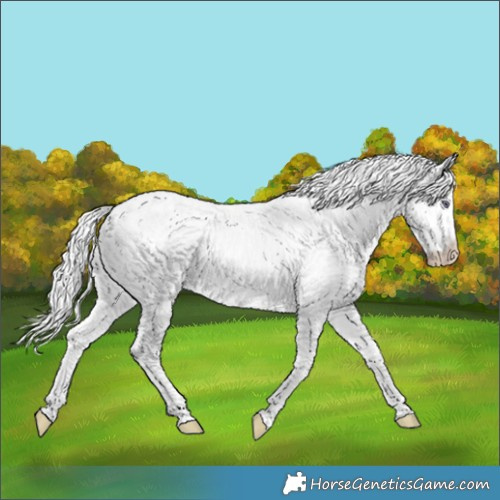 Horse Color:White Spotted Chocolate Silver Smoky Creme Chinchilla Ice 