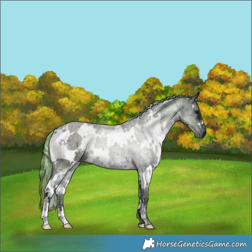 Horse Color:Watercolor White Spotted Chocolate Smoky Black Chinchilla Ice 