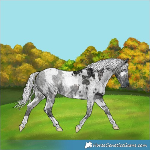 Horse Color:Watercolor White Spotted Chocolate Silver Smoky Creme Chinchilla Ice 