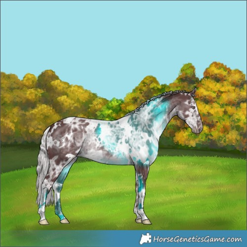 Horse Color:White Spotted Chocolate Silver Black Chinchilla Ice 