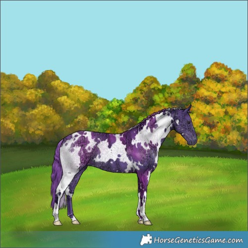 Horse Color:Watercolor White Spotted Chocolate Black Chinchilla Ice 