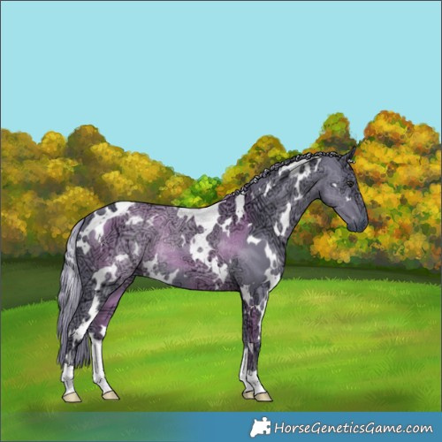 Horse Color:Watercolor White Spotted Chocolate Smoky Black Chinchilla Ice