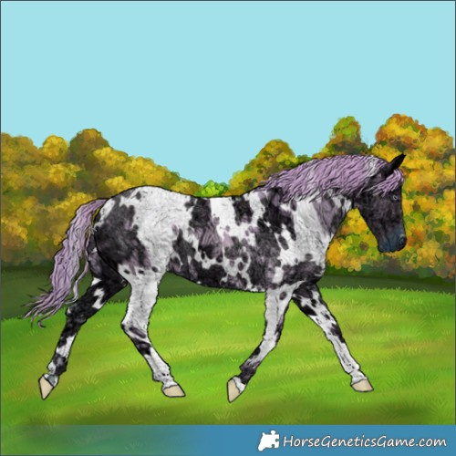 Horse Color:Watercolor White Spotted Chocolate Smoky Creme Chinchilla Ice 