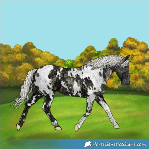 Horse Color:Watercolor White Spotted Chocolate Silver Smoky Creme Chinchilla Ice