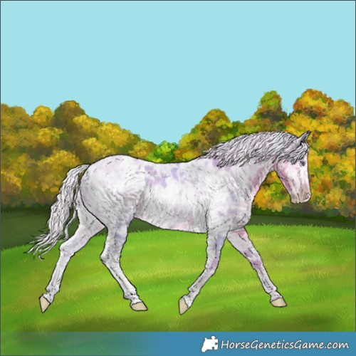 Horse Color:Watercolor White Spotted Chocolate Silver Smoky Creme Chinchilla Ice