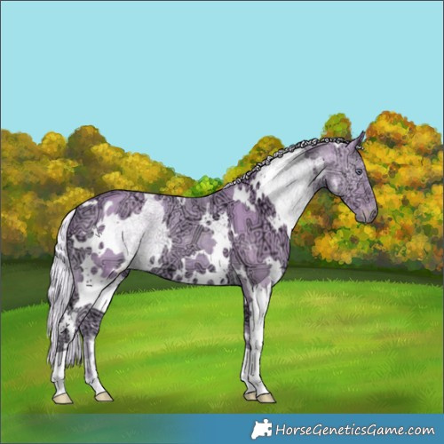 Horse Color:Watercolor White Spotted Chocolate Silver Smoky Creme Chinchilla Ice 