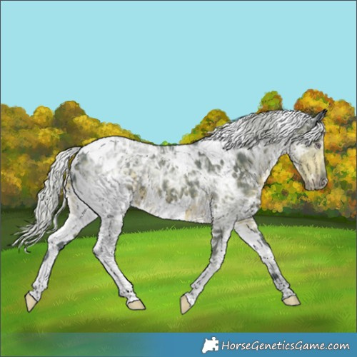 Horse Color:Watercolor White Spotted Chocolate Silver Smoky Black Chinchilla Ice 
