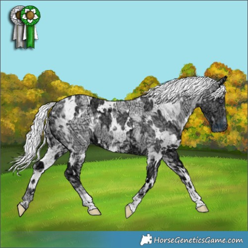 Horse Color:White Spotted Chocolate Silver Smoky Creme Chinchilla Ice