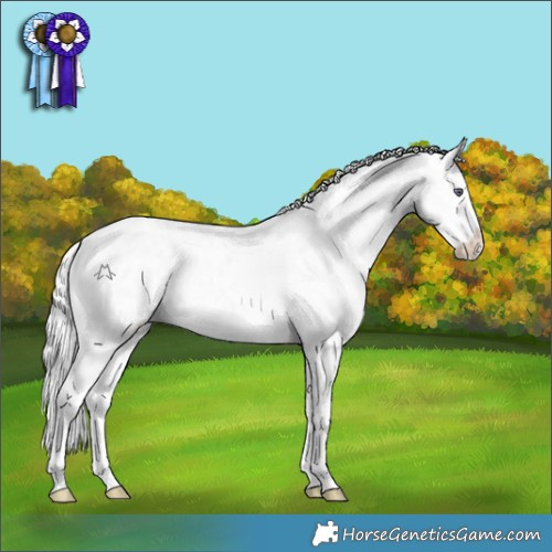 Horse Color:White Spotted Chocolate Silver Smoky Creme Chinchilla Ice
