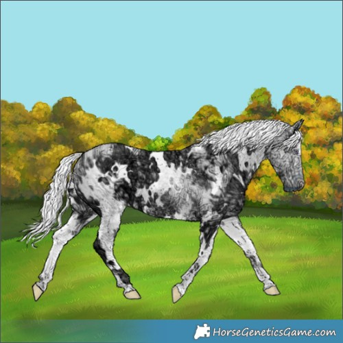 Horse Color:White Spotted Chocolate Silver Smoky Creme Chinchilla Ice