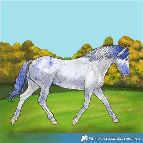 Horse Color:Watercolor White Spotted Chocolate Smoky Black Chinchilla Ice