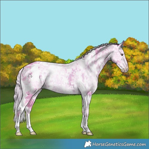 Horse Color:Watercolor White Spotted Chocolate Silver Black Chinchilla Ice 