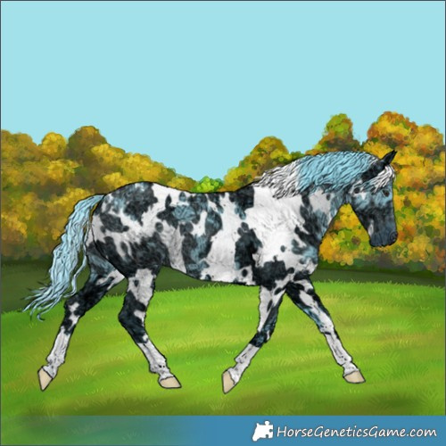 Horse Color:Watercolor White Spotted Chocolate Black Chinchilla Ice 