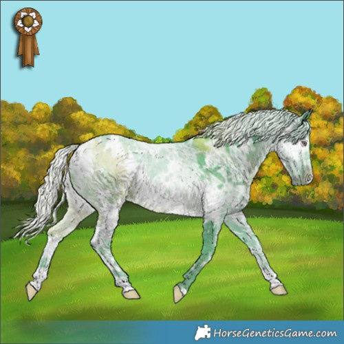 Horse Color:Watercolor White Spotted Chocolate Silver Black Chinchilla Ice 